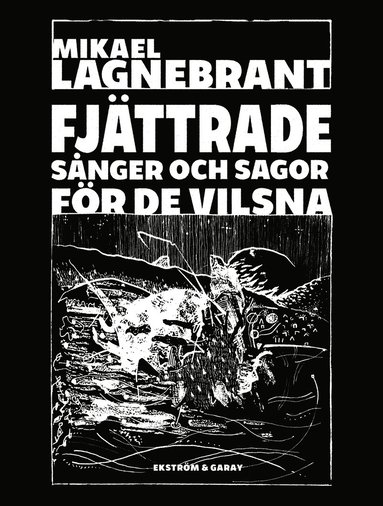 bokomslag Fjättrade sånger och sagor för de vilsna