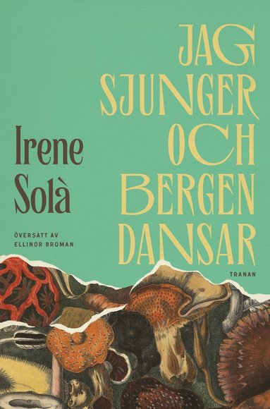 bokomslag Jag sjunger och bergen dansar