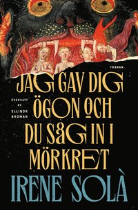 bokomslag Jag gav dig ögon och du såg in i mörkret