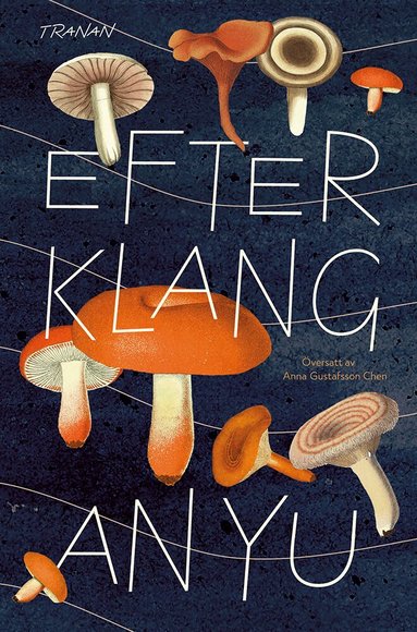 An Yu - Efterklang, Pocket
