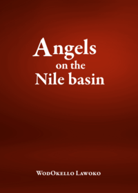 bokomslag Angels of the Nile basin