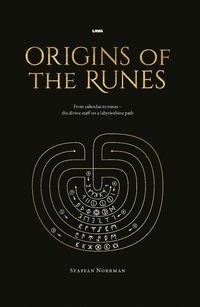 bokomslag Origins of the runes : from calendar to runes - the divine staff on a labyrinthine path