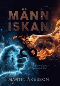 bokomslag Människan & Co
