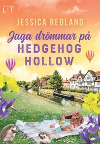 bokomslag Jaga drömmar på Hedgehog Hollow