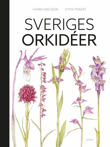 Henrik Karlsson - Sveriges orkidéer, Inbunden