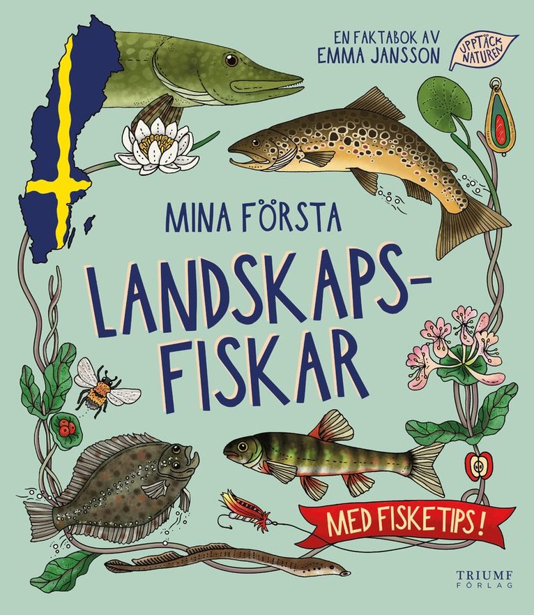 Emma Jansson - Mina första landskapsfiskar - Med fisketips!, Inbunden