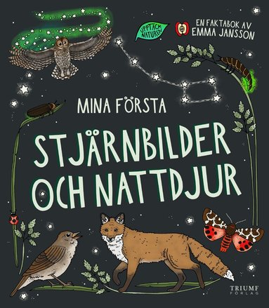 Emma Jansson - Mina första stjärnbilder och nattdjur, Inbunden