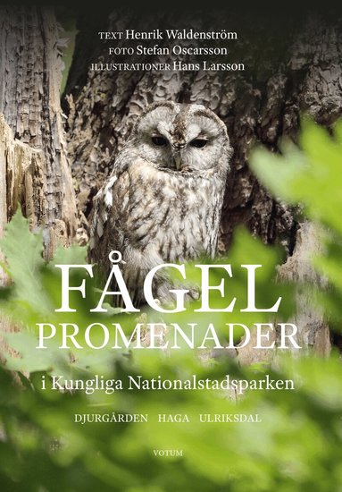Henrik Waldenström - Fågelpromenader i Kungliga Nationalstadsparken, Häftad