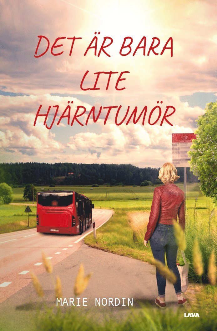 Marie Nordin - Det är bara lite hjärntumör, Häftad
