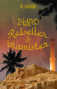 bokomslag Bland rebeller och islamister