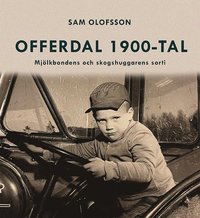bokomslag Offerdal 1900-tal - mjölkbondens och skogshuggarens sorti