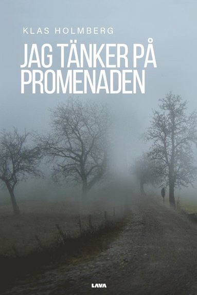 bokomslag Jag tänker på promenaden