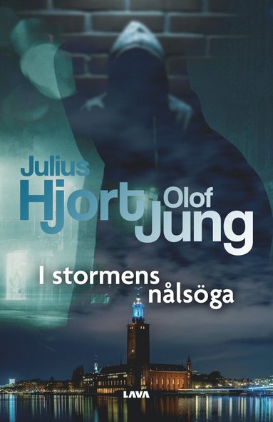 bokomslag I stormens nålsöga