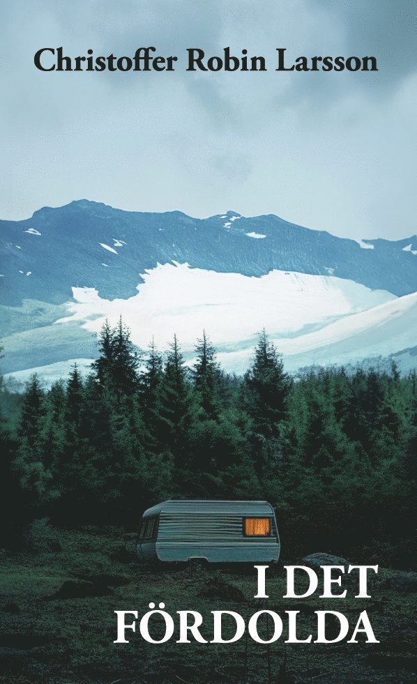 Christoffer Robin Larsson - I det fördolda, Häftad