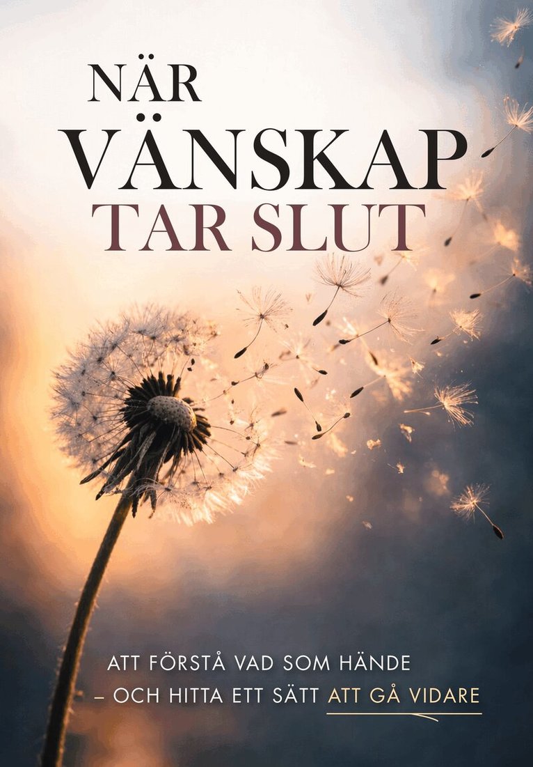 När vänskap tar slut : att förstå vad som hände - och hitta ett sätt att gå vidare, Storpocket