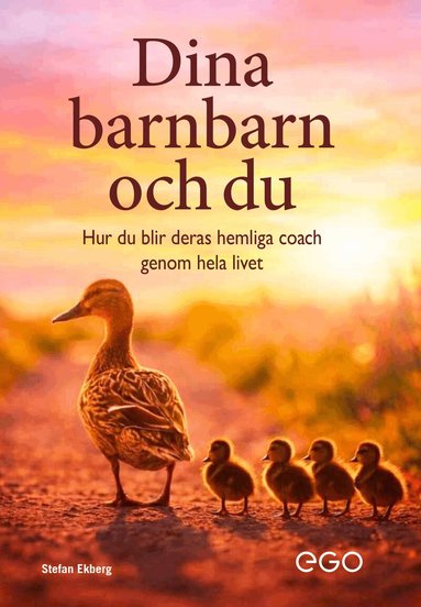 Stefan Ekberg - Dina barnbarn och Du - - hur du blir deras hemliga coach genom hela livet, Storpocket