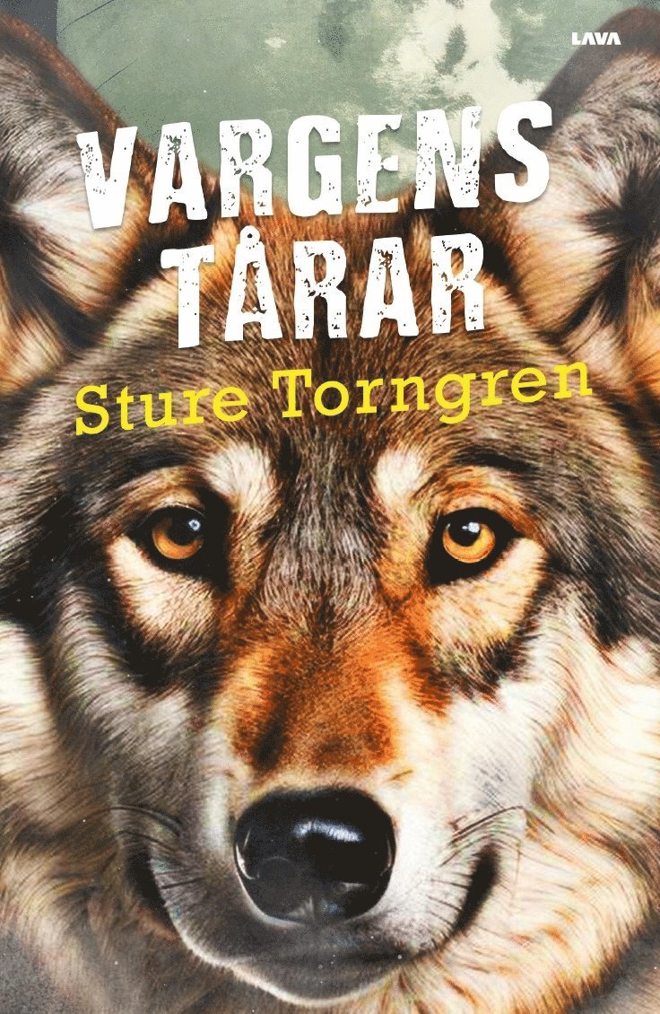 Sture Torngren - Vargens tårar, Häftad