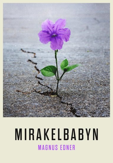 bokomslag Mirakelbabyn