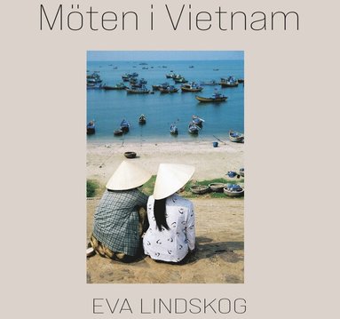 bokomslag Möten i Vietnam