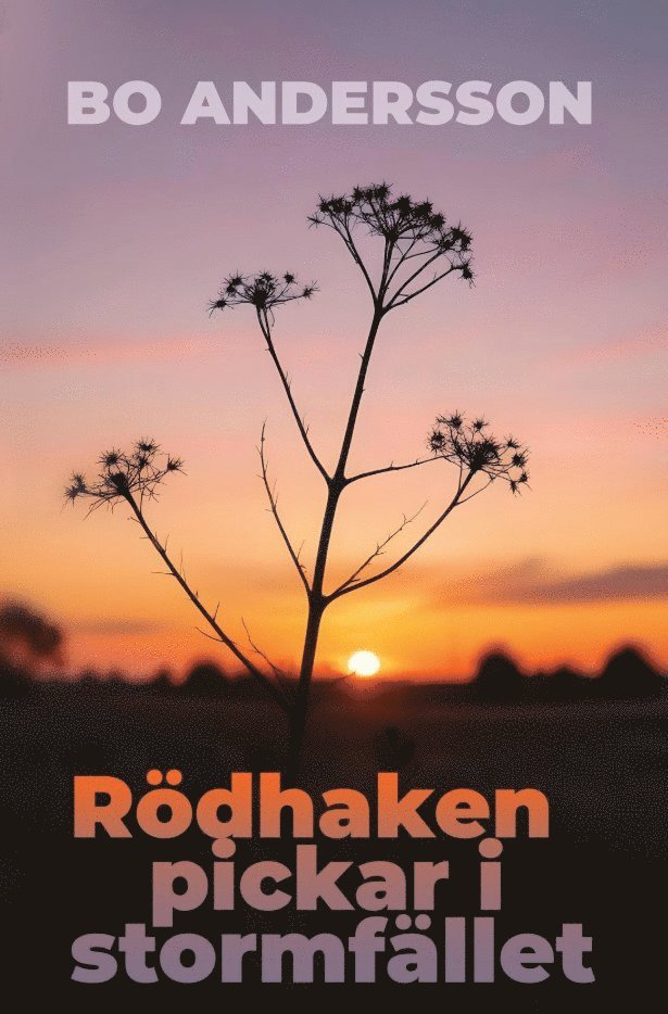 Rödhaken pickar i stormfället