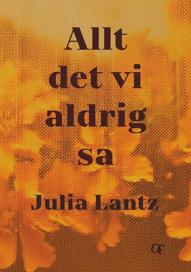 Julia Lantz - Allt det vi aldrig sa, Inbunden