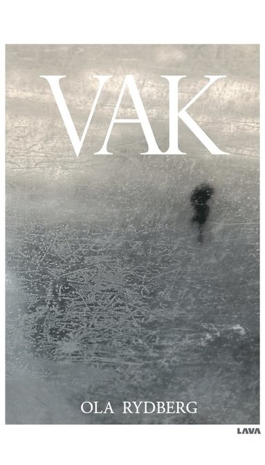 bokomslag Vak