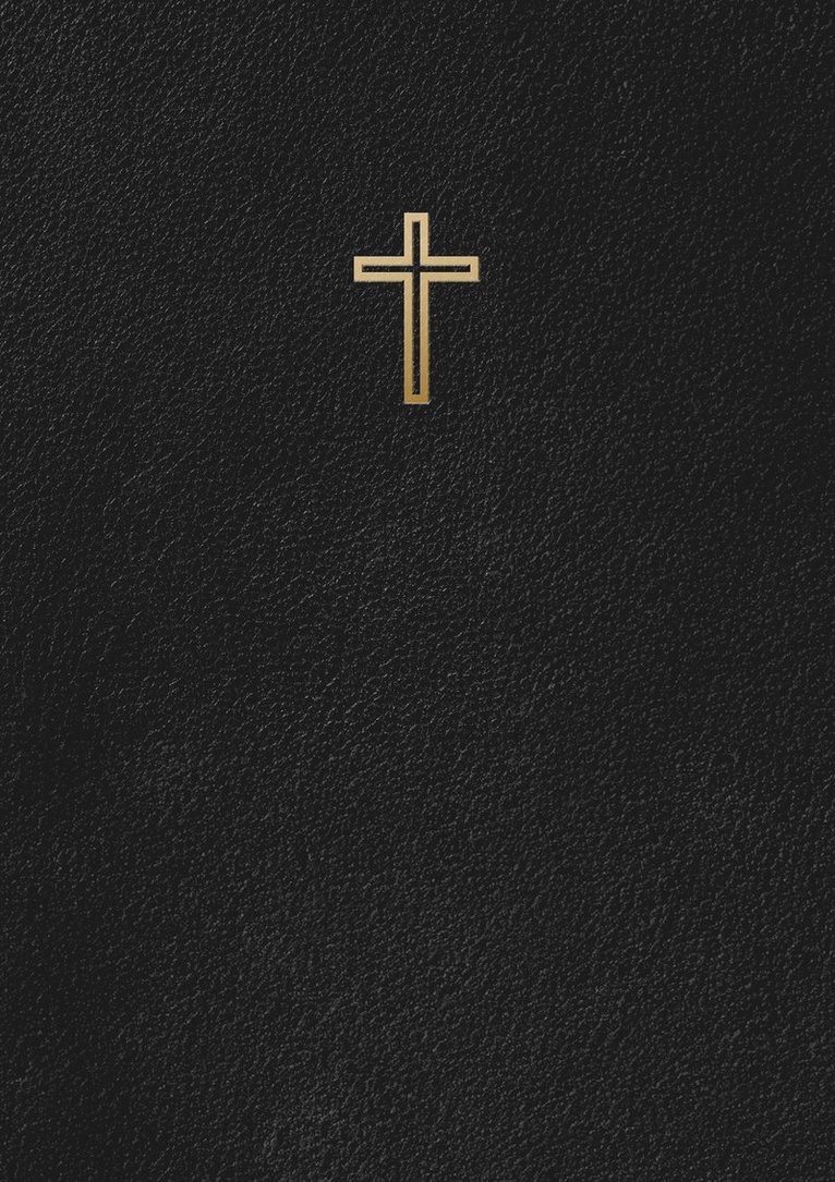 Svenska Folkbibeln 2015 : Slimline Svart Konstskinn