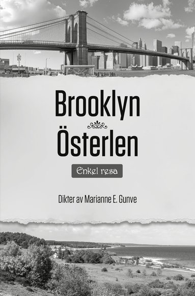 bokomslag Brooklyn Österlen : enkel resa