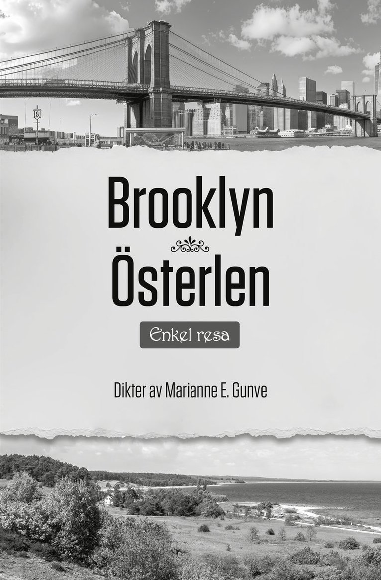 Brooklyn Österlen : enkel resa 1