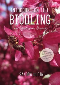 bokomslag Introduktion till biodling : med Solstugans bigård