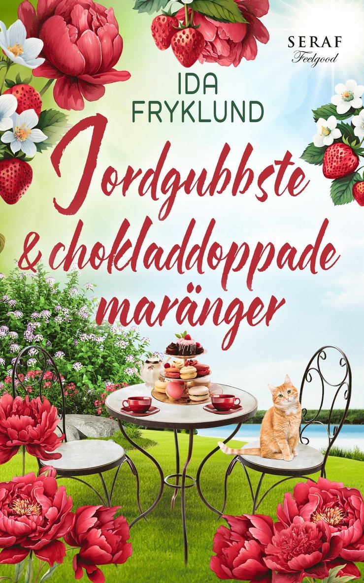 Jordgubbste och chokladdoppade maränger 1