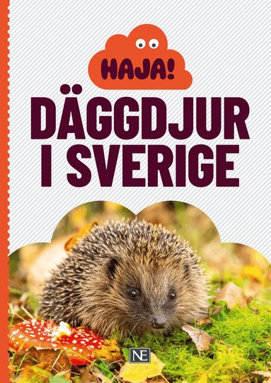 Låtta Skogh - Haja! Däggdjur i Sverige, Häftad