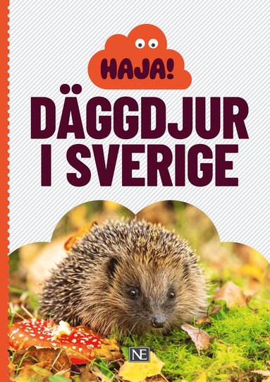 bokomslag Haja! Däggdjur i Sverige