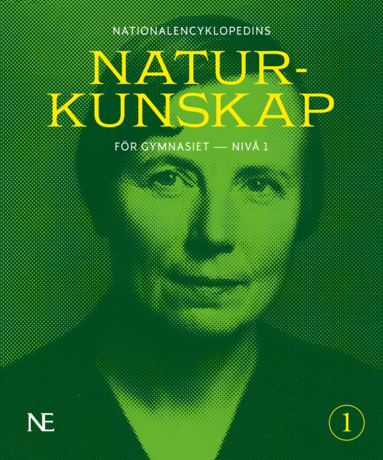 Rikard Ask, David Olausson, Låtta Skogh, Bengt Svensson - NE Naturkunskap för gymnasiet : nivå 1, Häftad