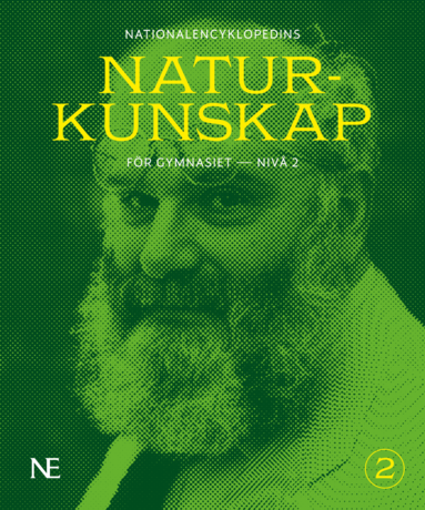 bokomslag NE Naturkunskap för gymnasiet : nivå 2