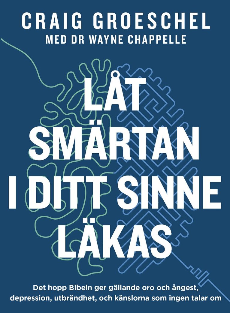Craig Groeschel, Wayne Chappelle - Låt smärtan i ditt sinne läkas, Häftad