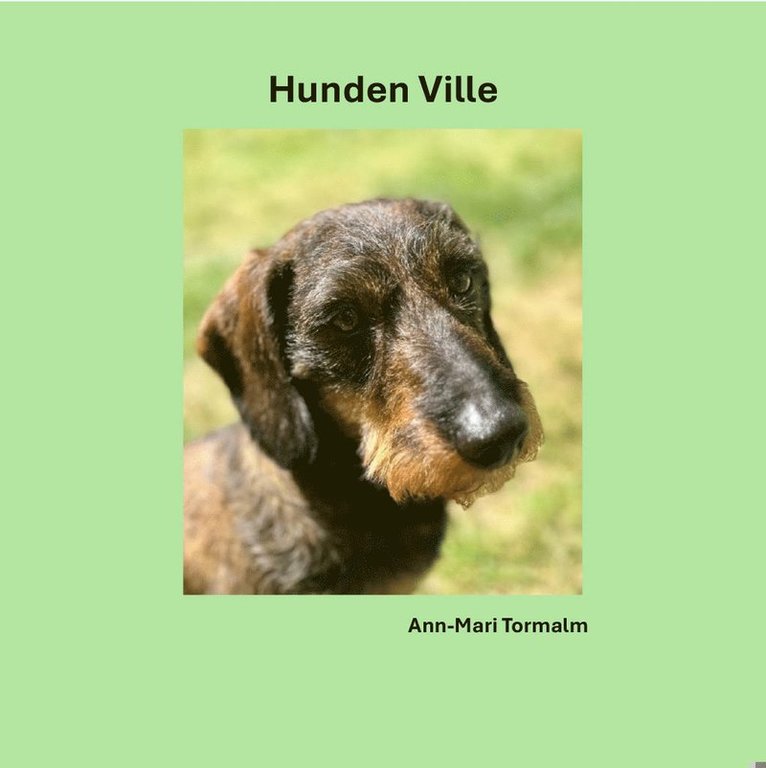 Hunden Ville