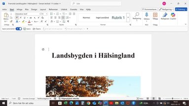 bokomslag Landsbygden i Hälsingland