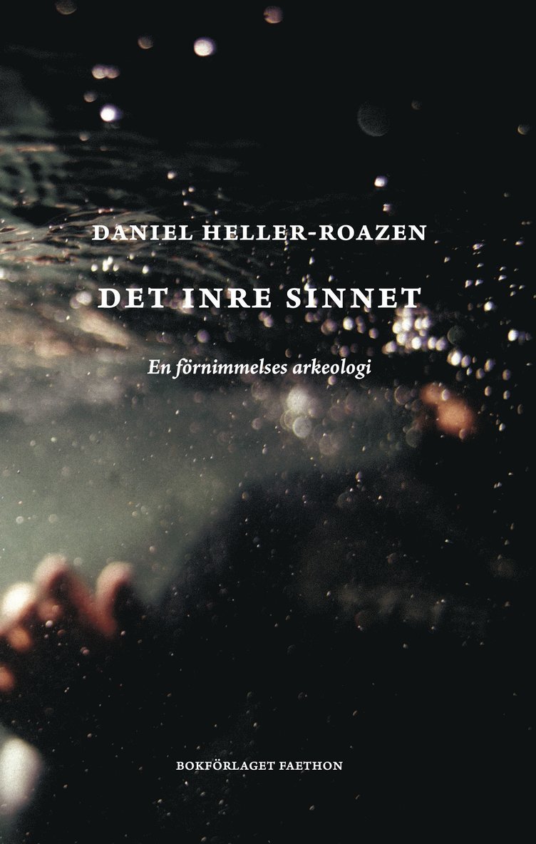 Det inre sinnet : en känslas arkeologi