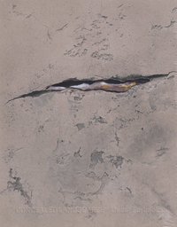 bokomslag Concealed Landscapes