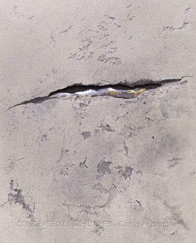 Oscar Furbacken, Sinziana Ravini, Carl-Johan Olsson, Niklas Haga, Hanna Paunu - Concealed Landscapes, Inbunden
