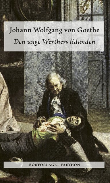 Johann Wolfgang von Goethe - Den unge Werthers lidanden, Pocket