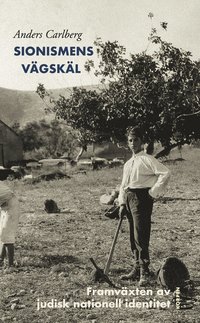bokomslag Sionismens vägskäl : framväxten av judisk nationell identitet
