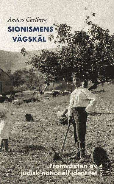 bokomslag Sionismens vägskäl : framväxten av judisk nationell identitet