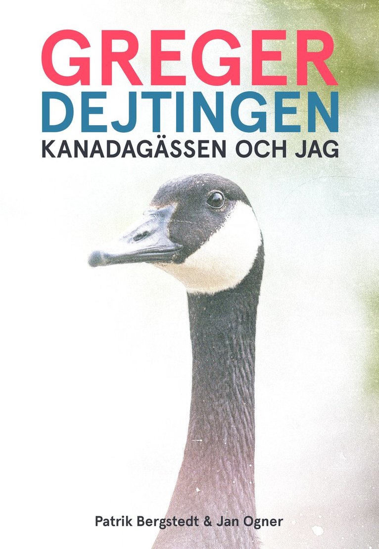 Greger, dejtingen, Kanadagässen och jag 1