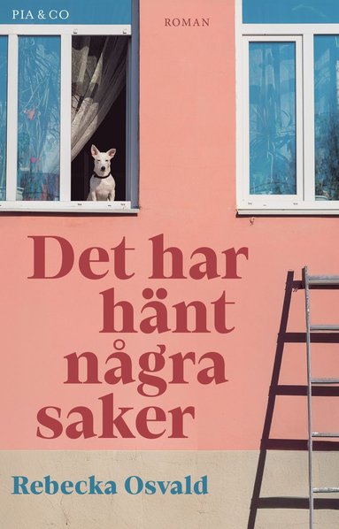 bokomslag Det har hänt några saker