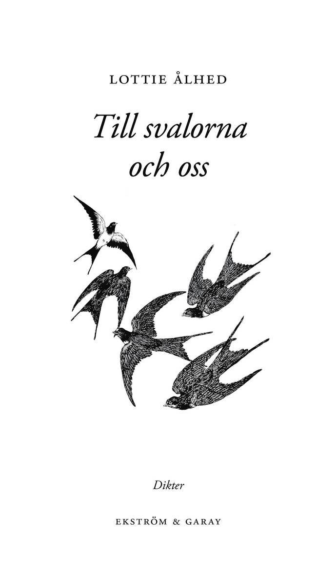 Lottie Ålhed - Till svalorna och oss, Häftad