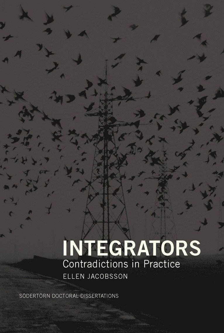 Integrators : Contradictions in Practice