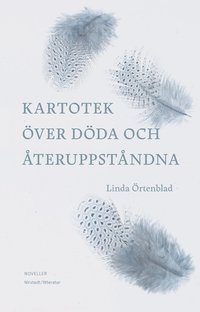 bokomslag Kartotek över döda och återuppståndna