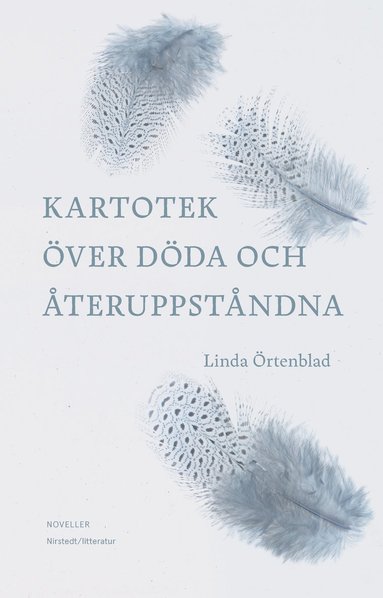 bokomslag Kartotek över döda och återuppståndna